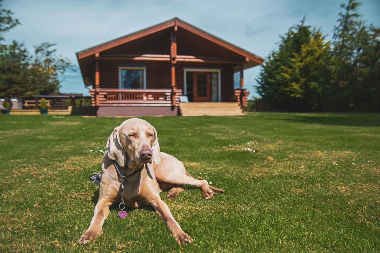 Tomatin - Luxury Two Bedroom Log Cabin With Hot Tub Berwick Upon Tweed ภายนอก รูปภาพ